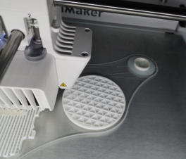 Start of a 3D print.